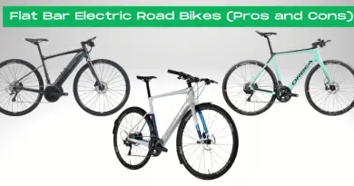 best flat bar electric road bikes
