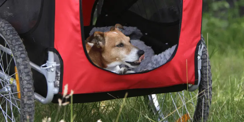best dog trailers for electric bikes