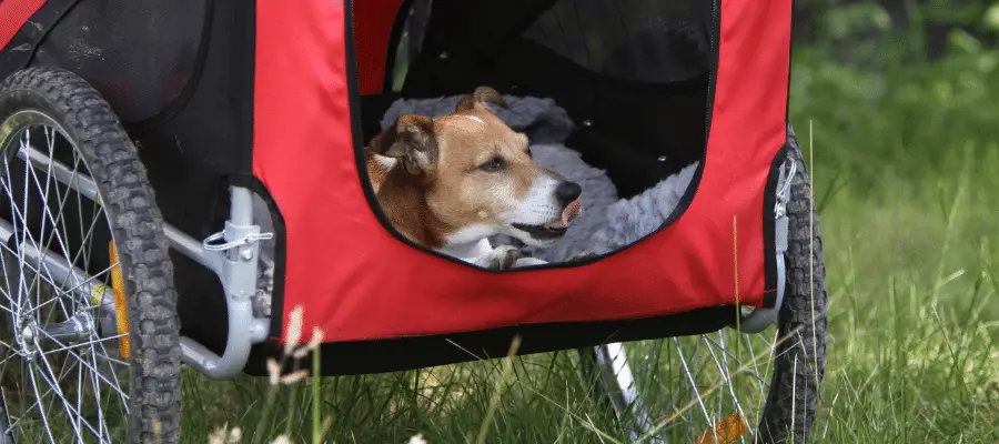 meilleures remorques pour chiens pour vélos électriques