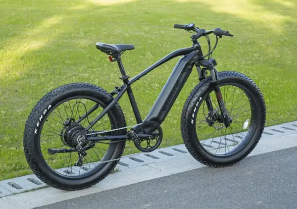 velowave ranger dikke band e-bike