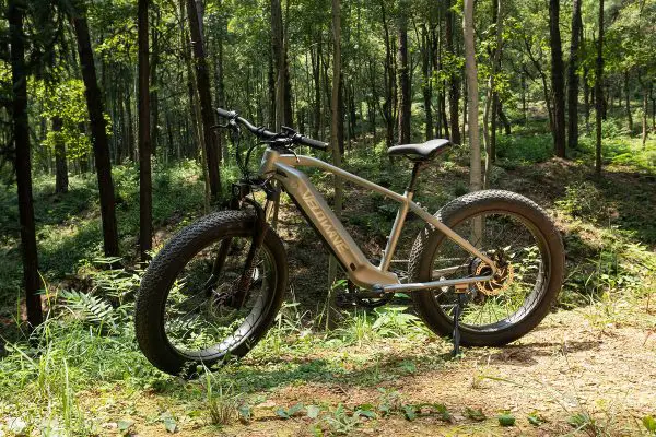 e-bike velowave ranger s tukovou pneumatikou