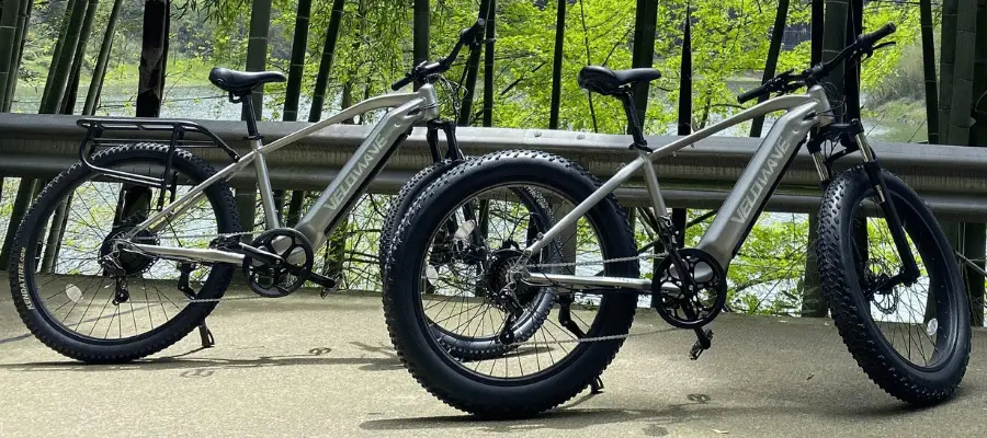 velowave electric bike review