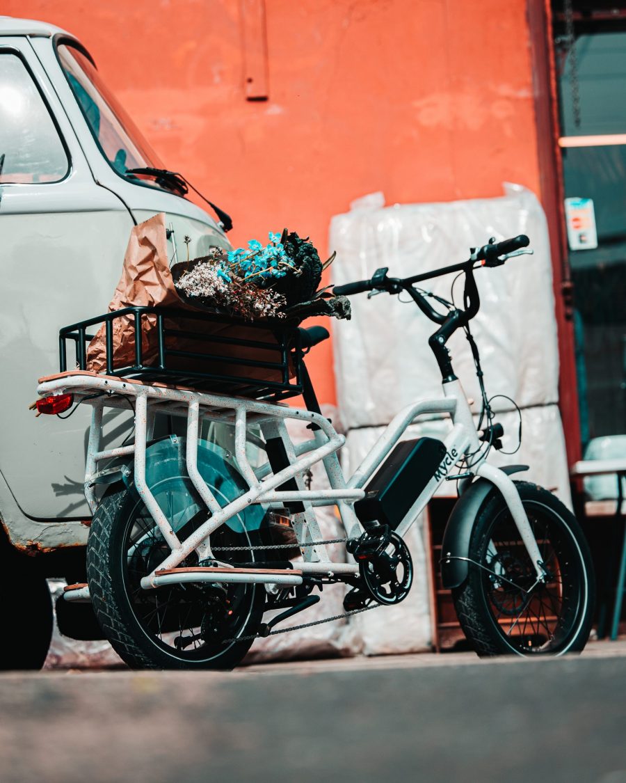 nákladný elektrobicykel mycle