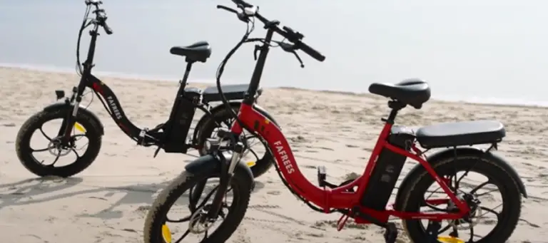 Fafrees F20 – 经济型折叠电动自行车