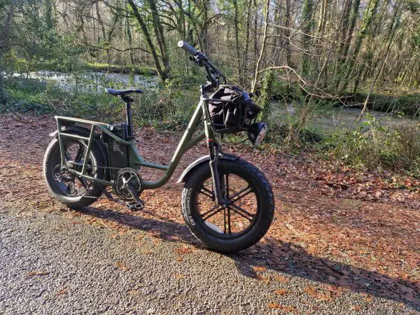 Fiido T1 Pro review: A great utility e-bike? 13 fiido t1 pro ride photo