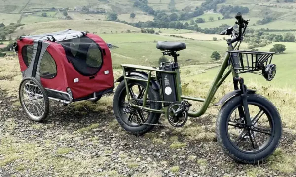 revisão da bicicleta de carga elétrica fiido t1