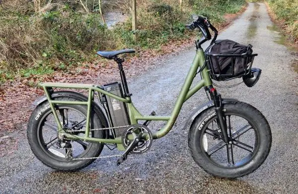 vélo électrique utilitaire fiido t1