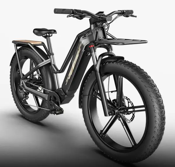 vélo électrique utilitaire fiido titan