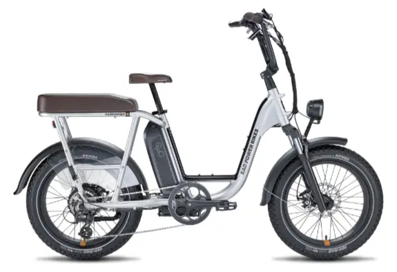 rad power radrunner mais carga e-bike