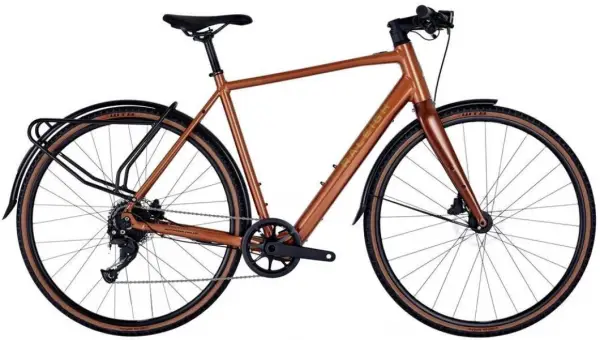 raleigh trace lichtgewicht elektrische fiets