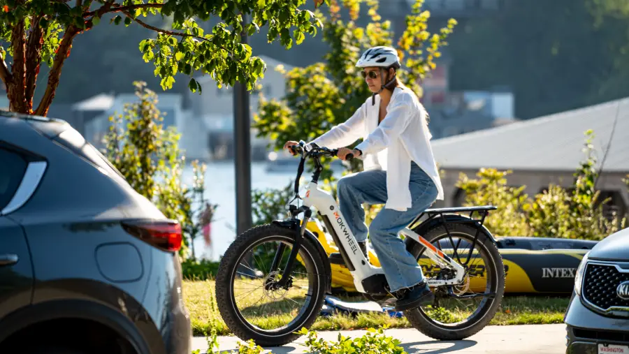 mokwheel elektrofahrrad bewertung