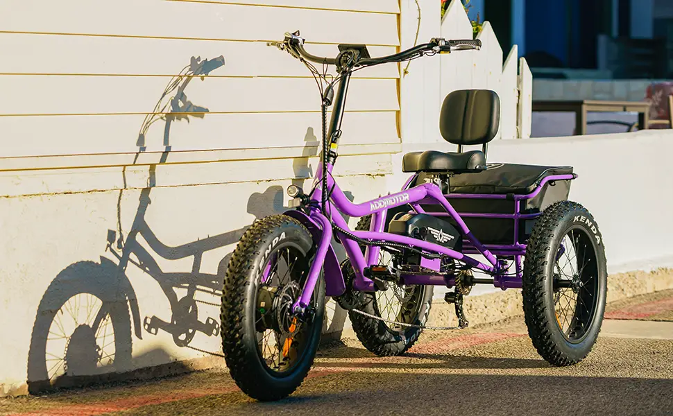 e-trike met extra motor