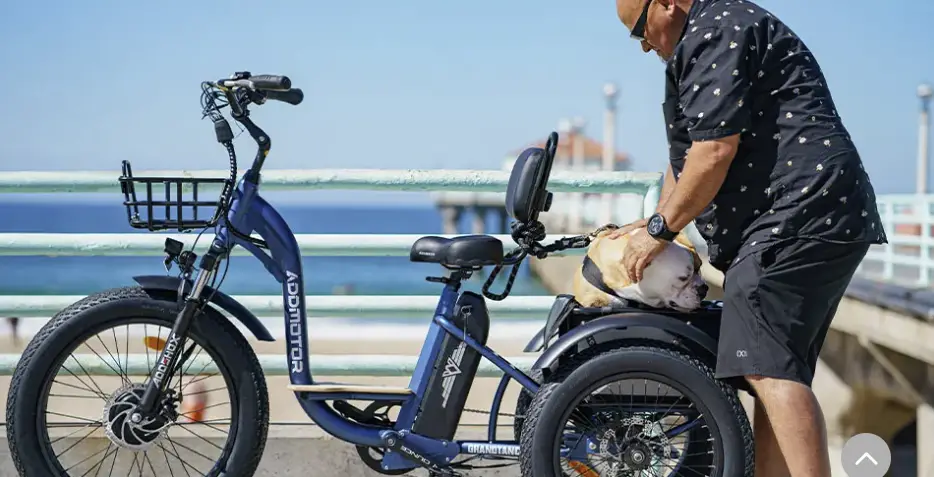 meilleurs tricycles électriques