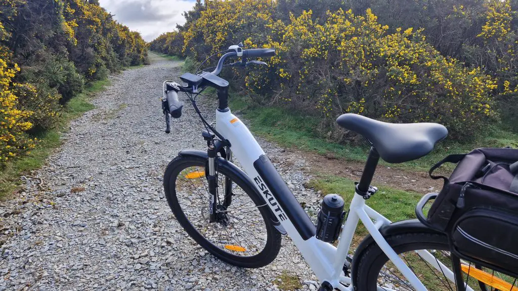 Eskute Polluno Plus review: best battery range for the price 8 eskute polluno plus rear view