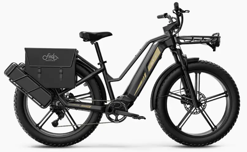 The new Fiido Titan Utility E-Bike 3 fiido titan with accessories