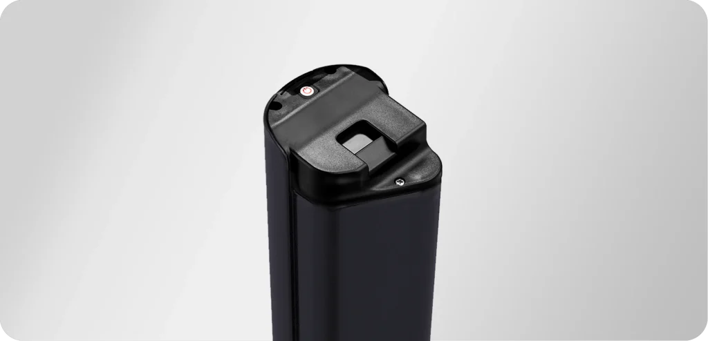 Batterie Mokwheel Mesa Lite 2.0 LG