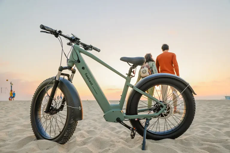 Bicicleta eléctrica Freebeat MorphRover Fat Tire: tiempo y dinero